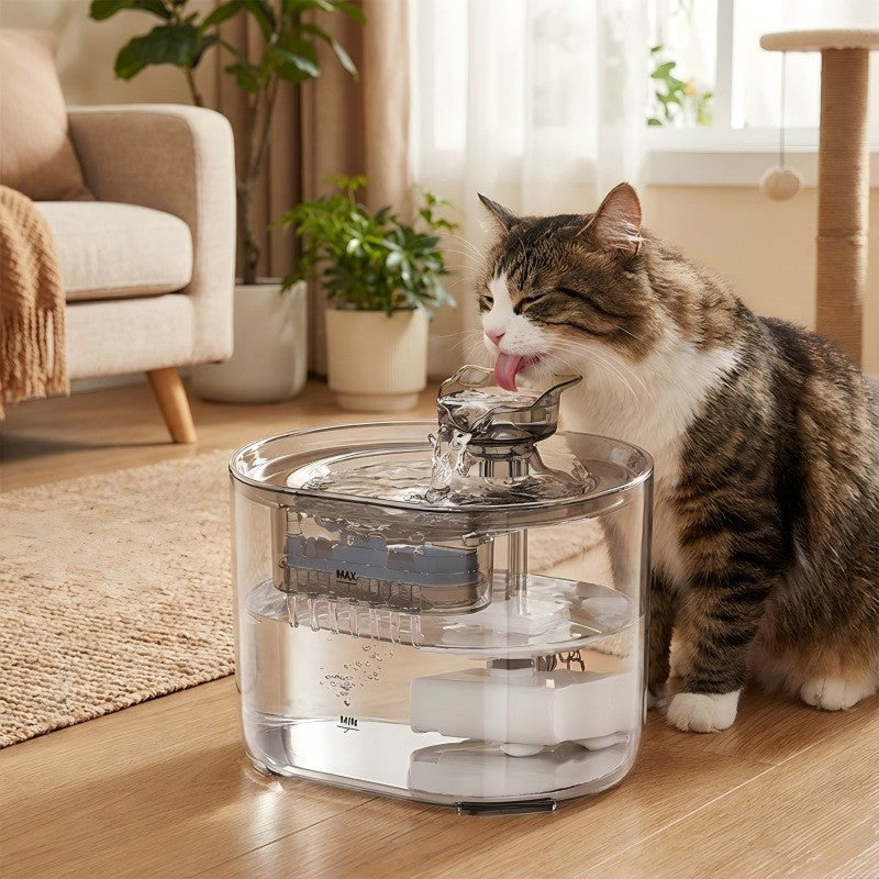 Cat drinking from the clear Purl cat ear fountain