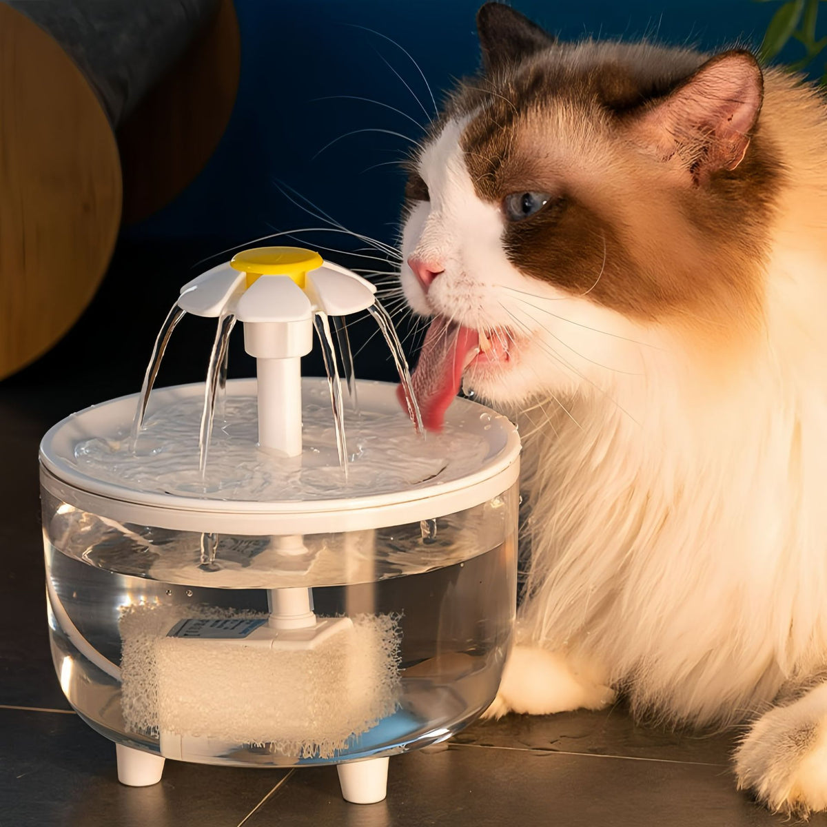 Purl Cat Ear Water Fountain
