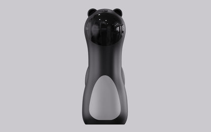 Little Hunter automatic cat laser toy in Black